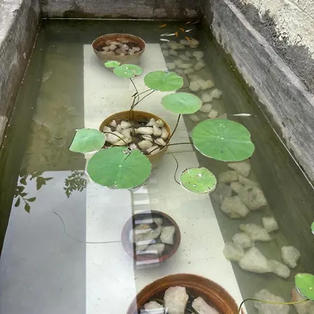 Shi'S Isha Homestay In Coimbatore Exterior photo